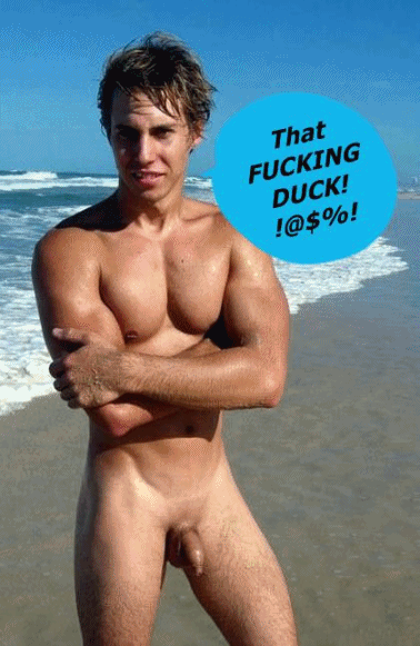 Image by DUCKs